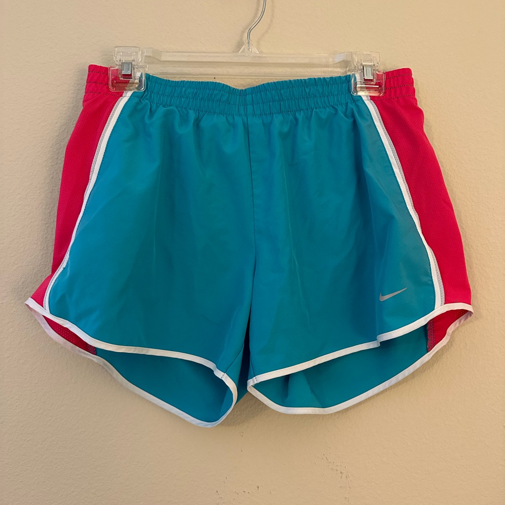 Nike Women's Teal And Pink Athletic Shorts